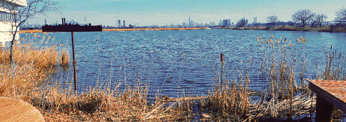 a photo of the meadowlands